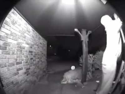 Seria bom se um certo alguém mantesse a boca fechada 😁