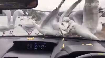 The end of the video