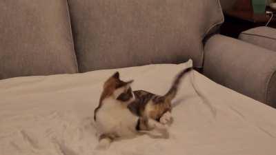 Lots of greeble action in the guest bedroom this morning. 