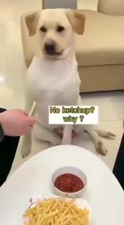 Wants to be like everyone else