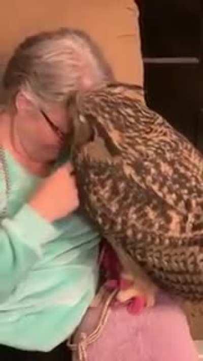 That's why harry gets his mail late all the time.