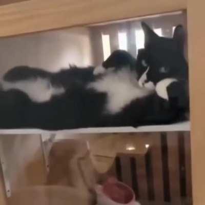 When you are perfect and can no longer hide it