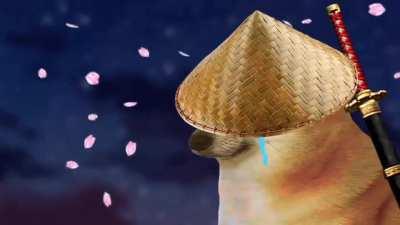 Any tips on how to survive through NNN?