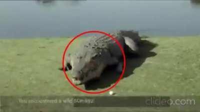 scp 682 dies to the n word