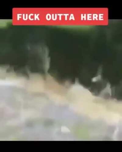 👹👺Mega gay zone👹👺