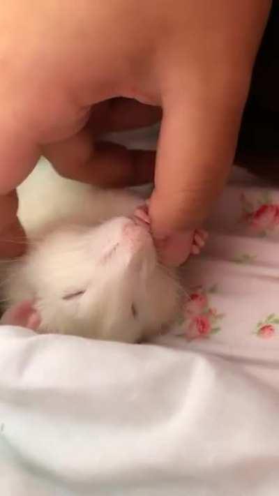 He loves holding onto my thumb when I'm giving him little rubs. ❤️