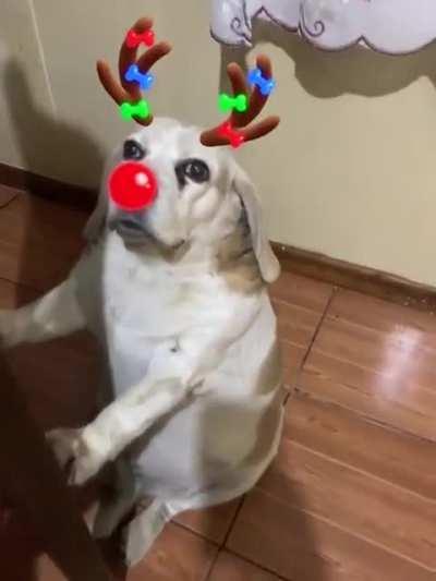 Vai fazer oq no Natal em doa?