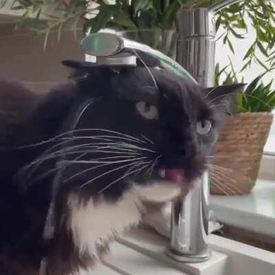 How is life treating you?....