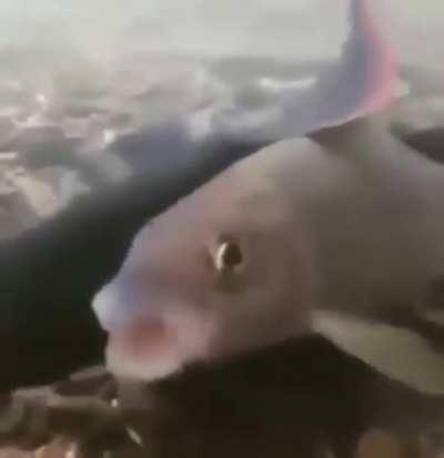 What are they even doing?