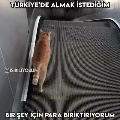 😃🙂😐☹️😭