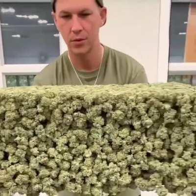 What you think of that?🏝