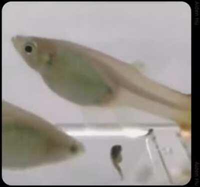 Добро пожаловать в ЖИЗНЬ!