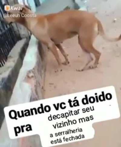 Eu 😅😅😅😅😅