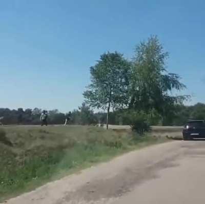 Let's get out of the car in a wild life park
