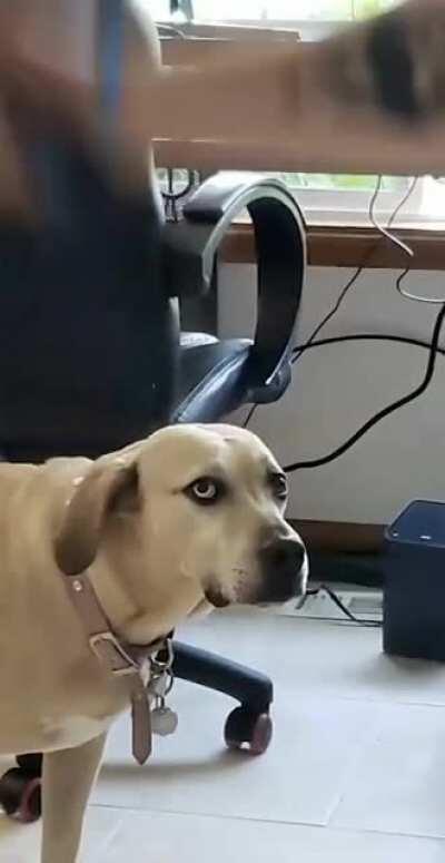 He’s doing the thing again