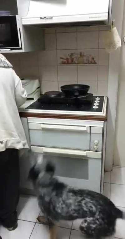 I heard we were doing hungry dogs.