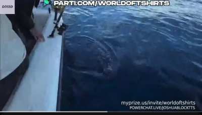 Does Tony really think we are that dumb? Look at the reactions when Josh is offered the fishing pole and how the “coke” is packed.