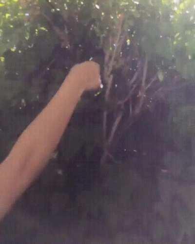 Goddess in red bikini