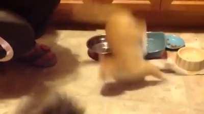 Does it count when it's your own sneeze?