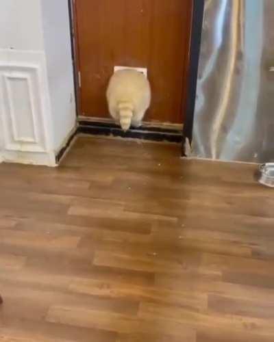 You're Gonna Need a Bigger Flap