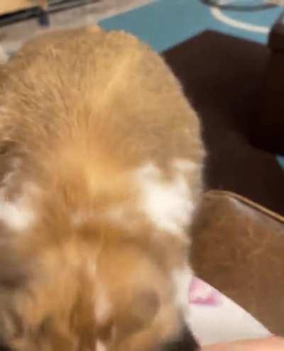 Why don’t you come and join me on the couch?