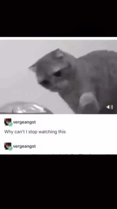 This is hilarious. I can’t lmfao