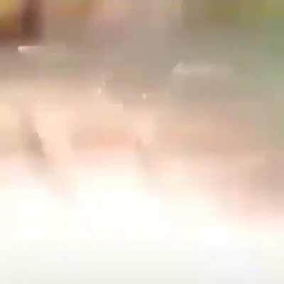 Go back, i want to be monke