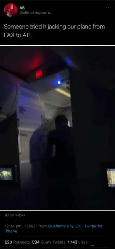 Trying to open the plane door mid-flight