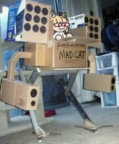 Mad Cat on a rampage 