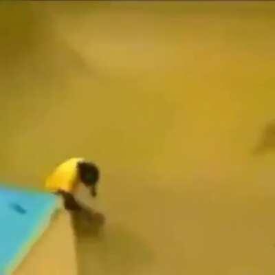 Y aún no saben porque estamos obsesionados con los primates?