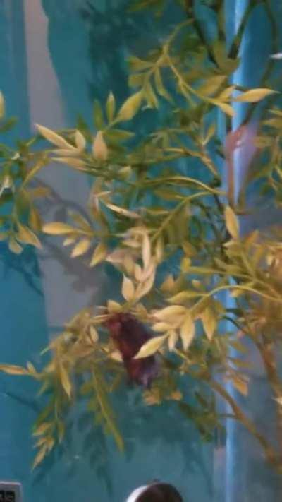 To all the nay sayers, 