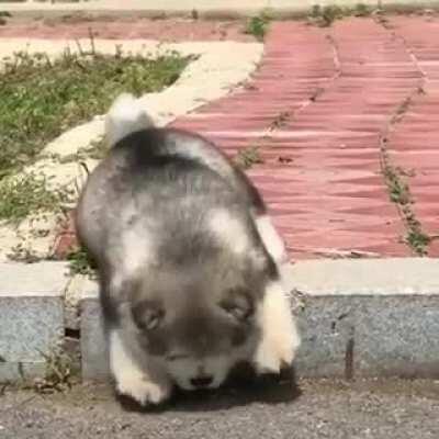 errno 11 Resource temporarily unavailable