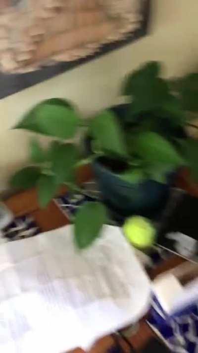 look who’s calling.