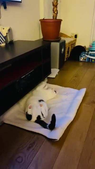 Крепкий сон