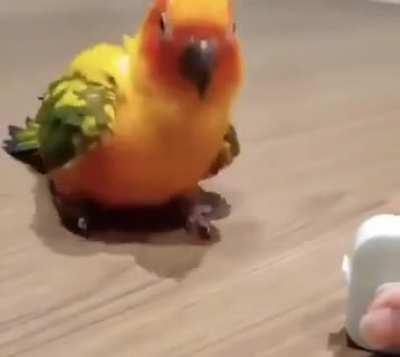 You ever been so shocked and amazed at the same time that you start dancing?