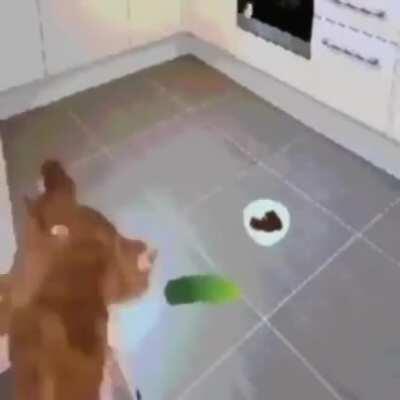 second day of attempting to revive the sub