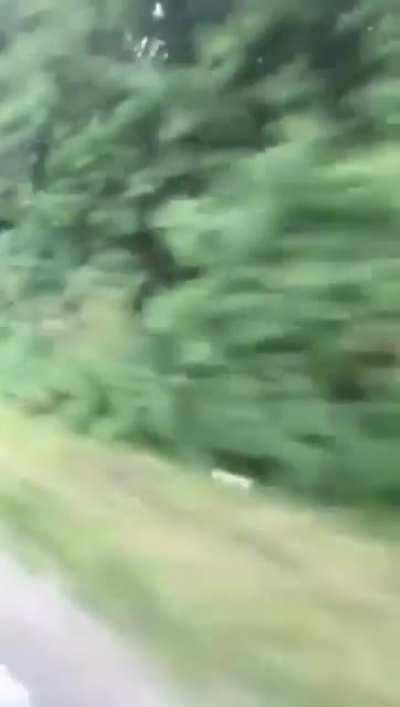 Don't know why he did it but i think it belongs here