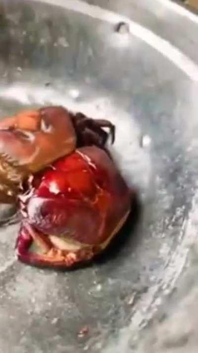 🔥 Peeled crabs