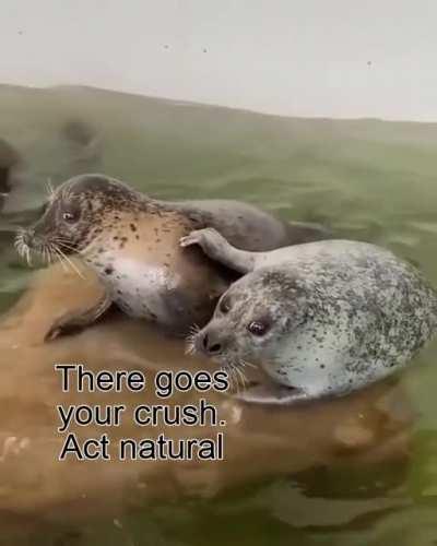 He's shy. He can't help it.