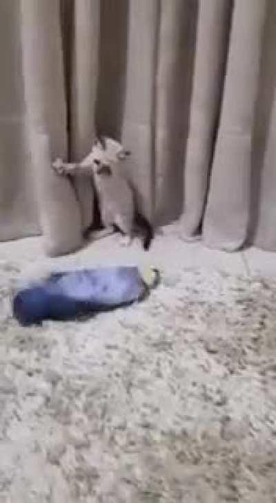 The fear in his eyes