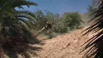 Raiders of the Lost Bago