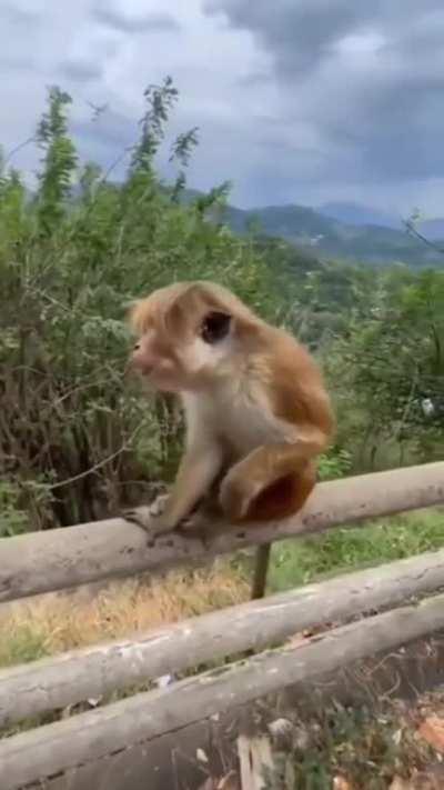 Ae yooooo, who did that 