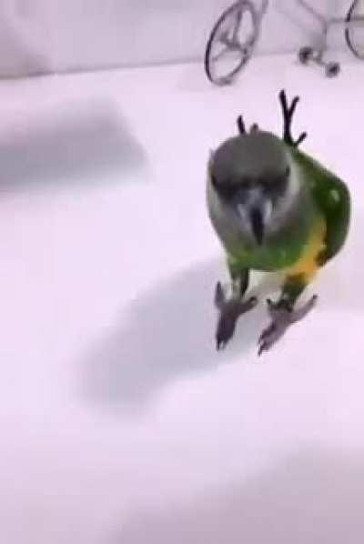 And the Oscar goes to...