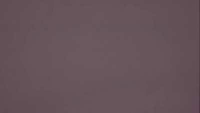 Disney+ exclusive Turning Red alternate scene