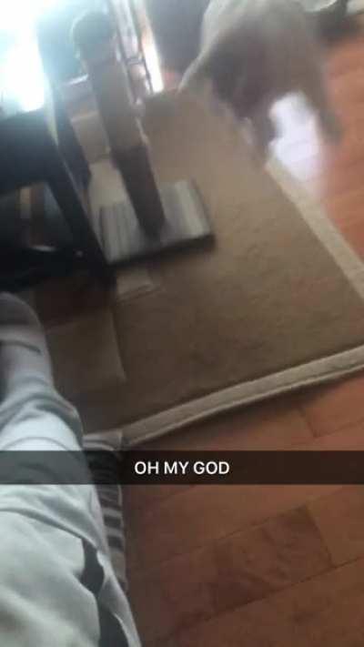 Been looking for somewhere to share this. Super ninja escape moves from my boy here