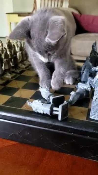 Known fugitive witnessed assaulting tiny men