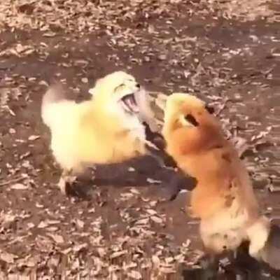 AAAAAAAAAAAAAAAAAAAAAAAAAAAAAAAA