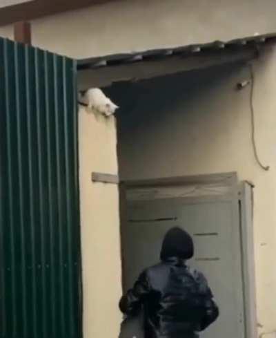 Let me help you? 🤗