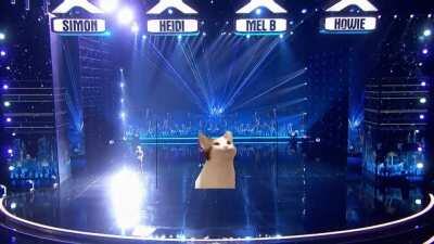 A smol meme i made :)