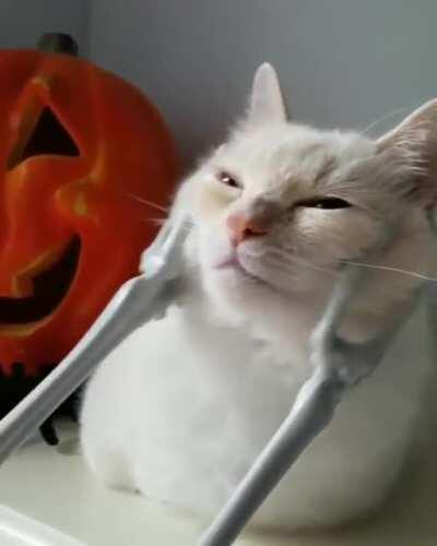 Spooky scritches
